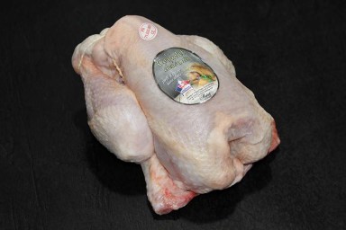 coquelet2.jpg