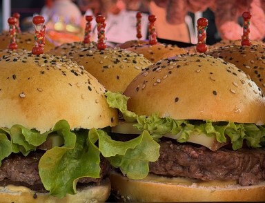 fabsburgerv2